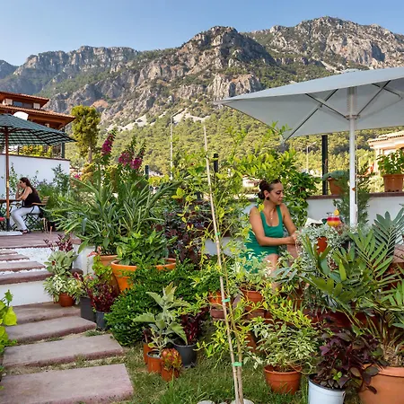 Elif Hanim & Ξενοδοχείο 3*