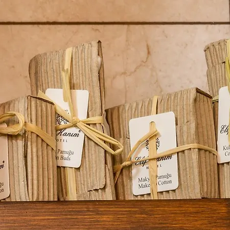 Ξενοδοχείο Elif Hanim & 3*