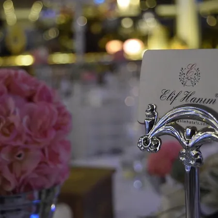 Ξενοδοχείο Elif Hanim &