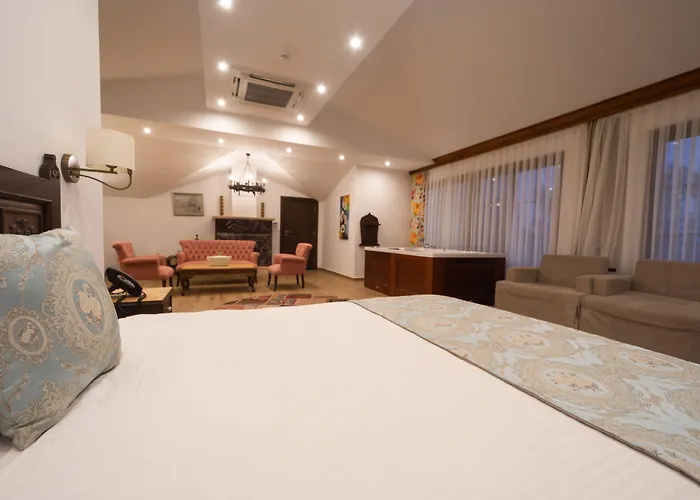 Elif Hanim & Hotel 3*